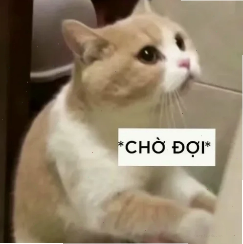 meme hóng drama