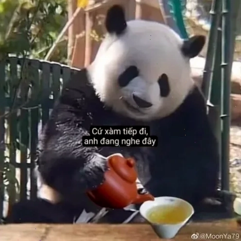 meme hóng hớt
