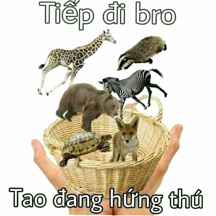 meme hứng thú