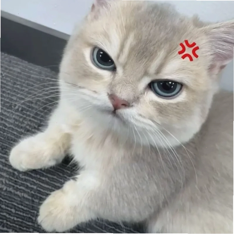 meme hứng thú