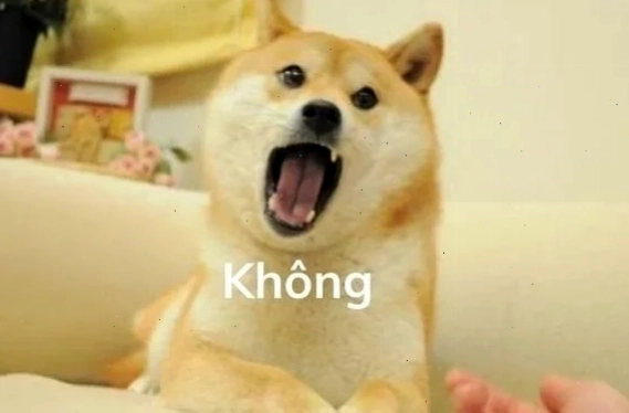 meme hứng thú