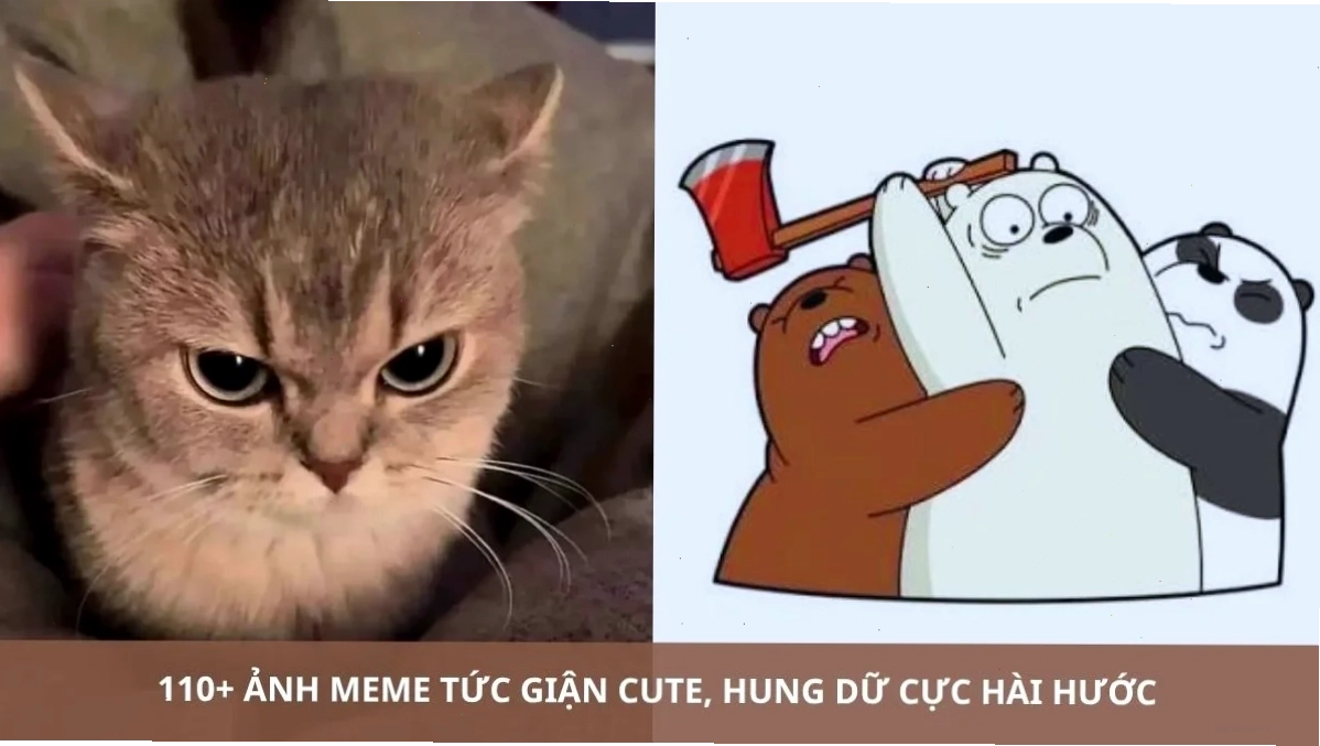 meme hứng thú
