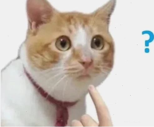 meme hứng thú