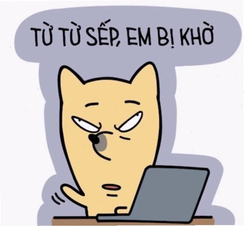 meme hứng thú