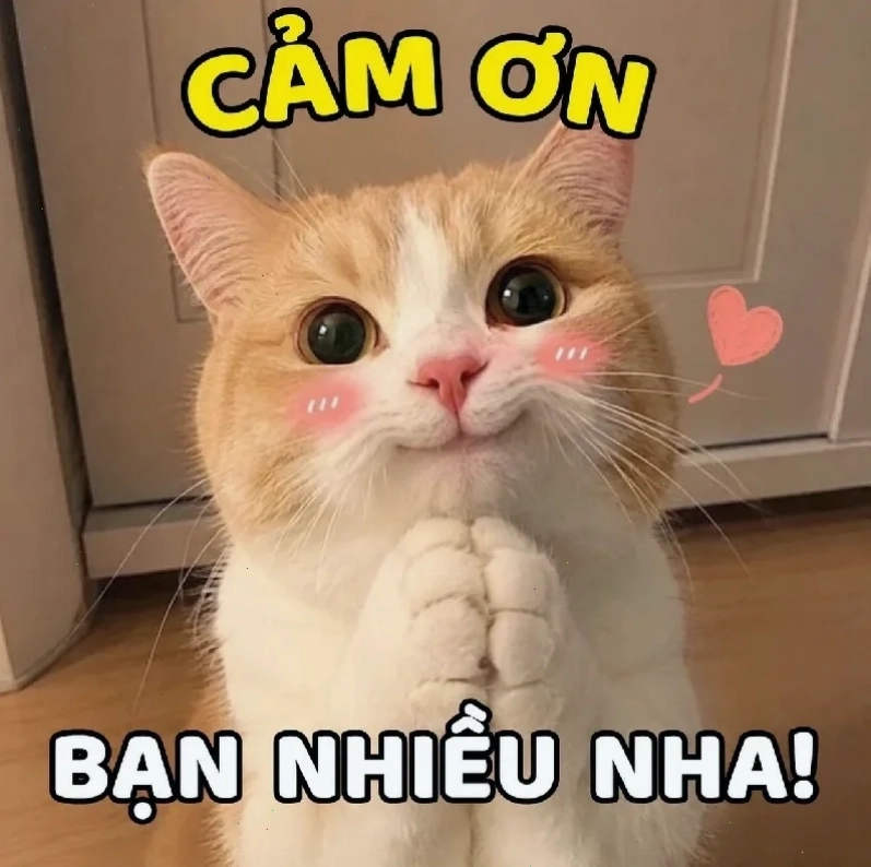 meme hứng thú