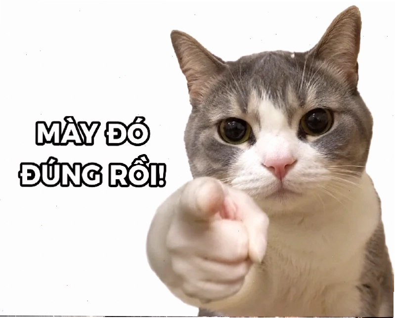Meme Husky chỉ tay khiến mọi người cười nghiêng ngả