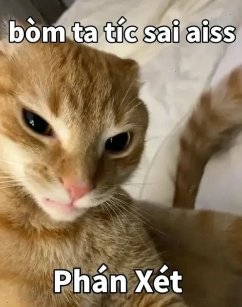 Meme Husky đánh giá xã hội