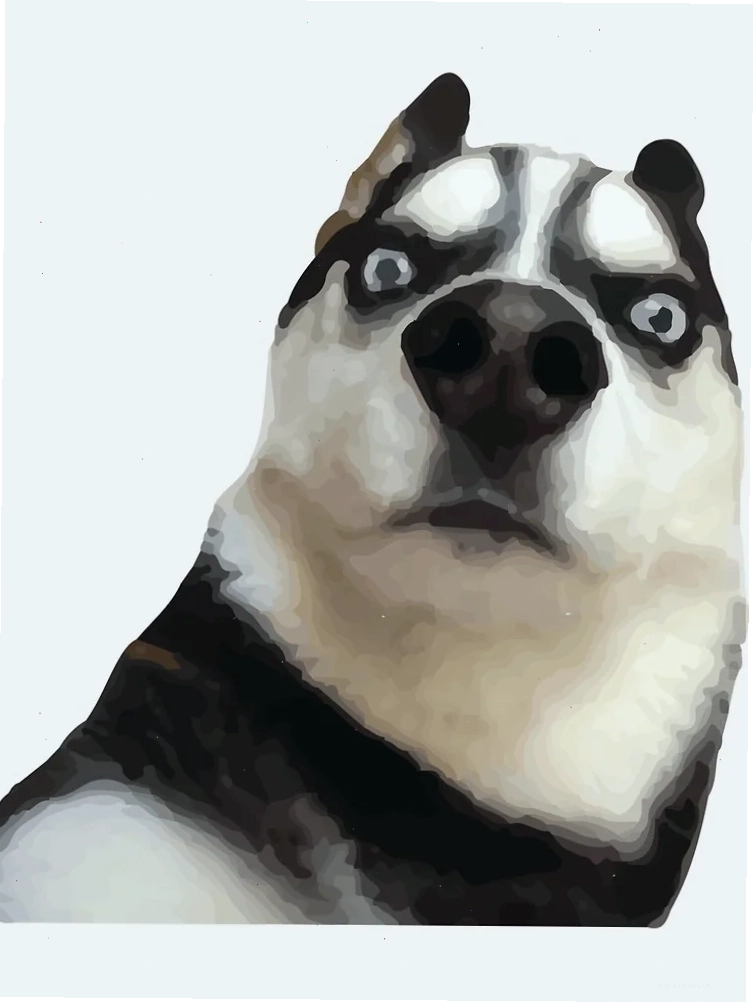 meme husky pointing