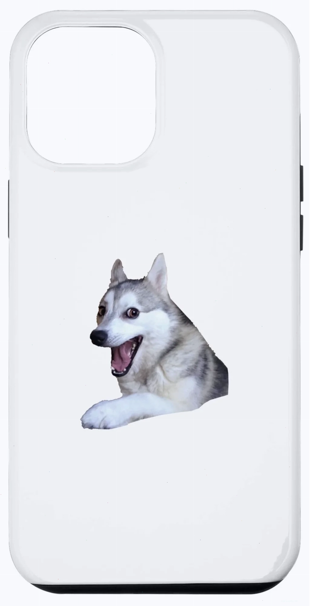 meme husky pointing