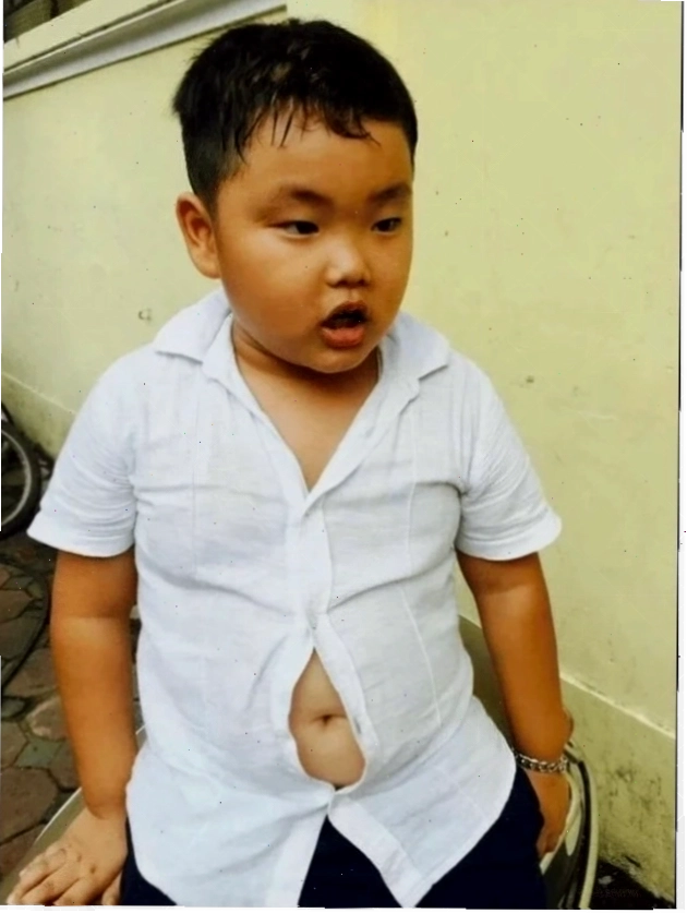 meme huyền thoại mèo nằm nồi