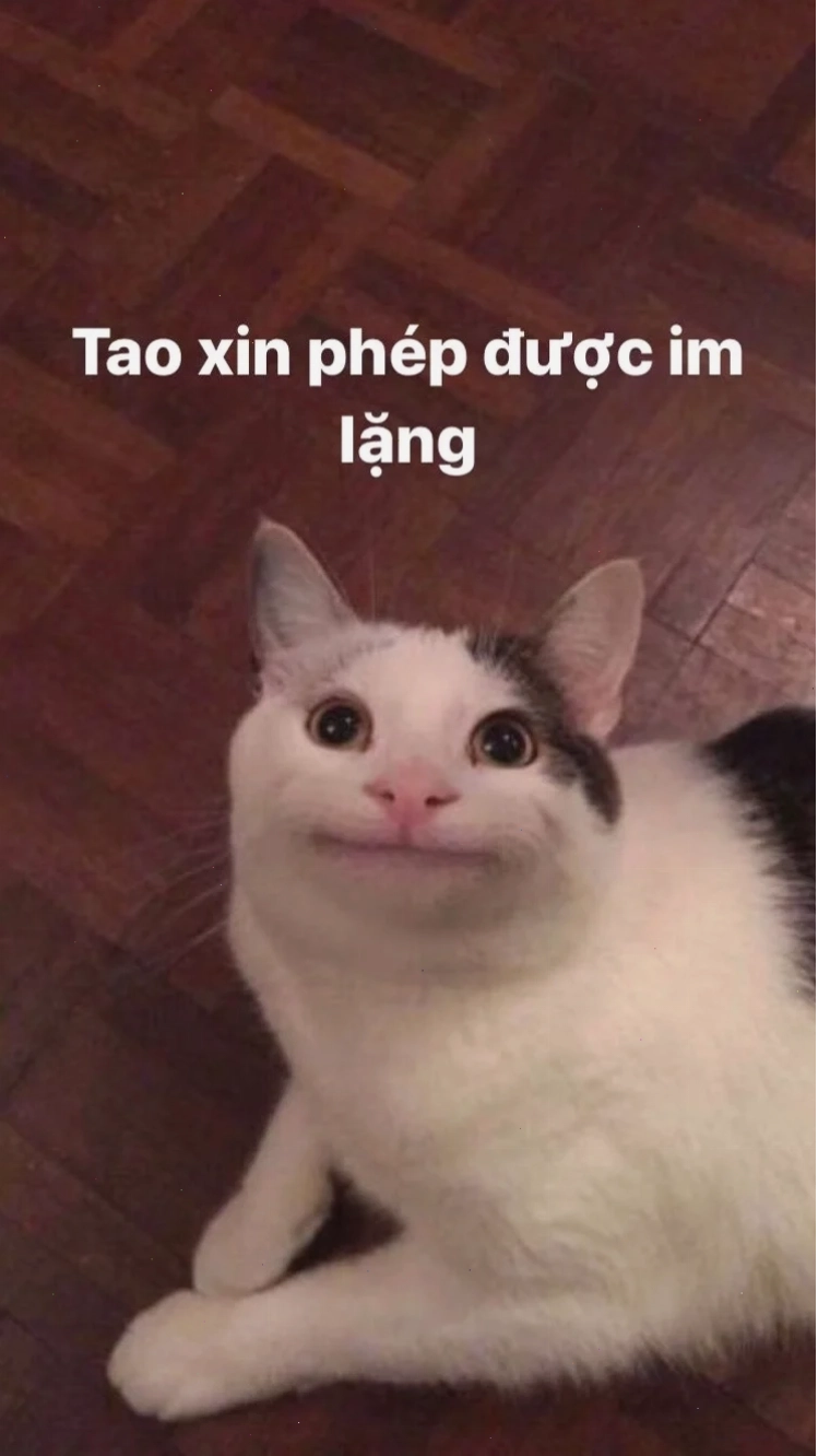 meme im lặng độc lạ