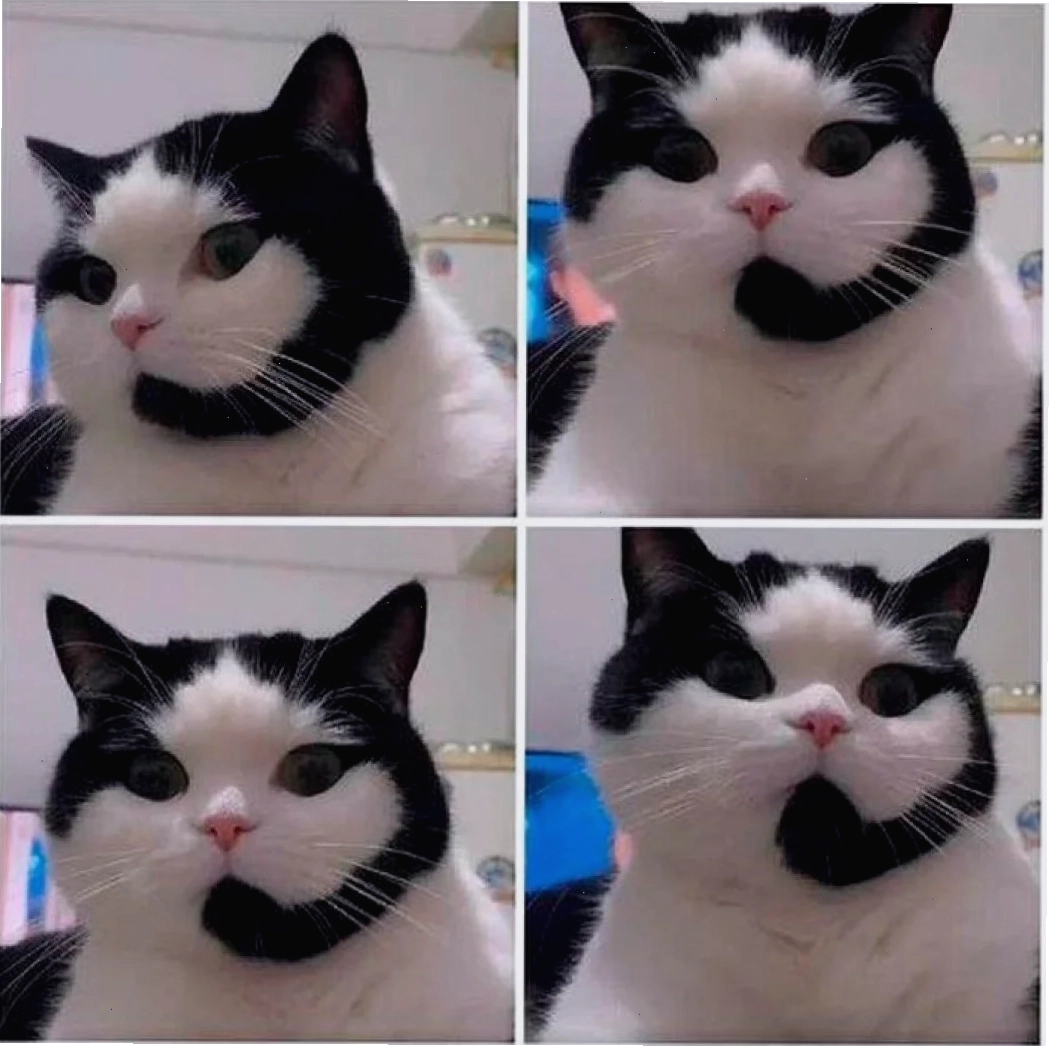 meme it khóc