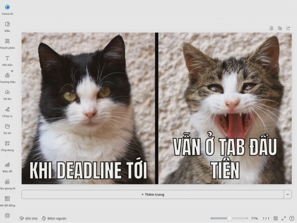 meme kết thúc