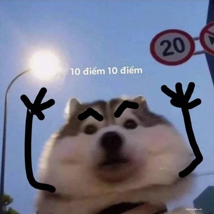 meme khen chê hài