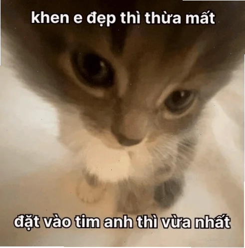 meme khen ngợi dễ thương