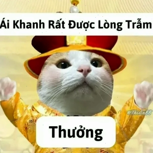 meme khen ngợi sự nỗ lực