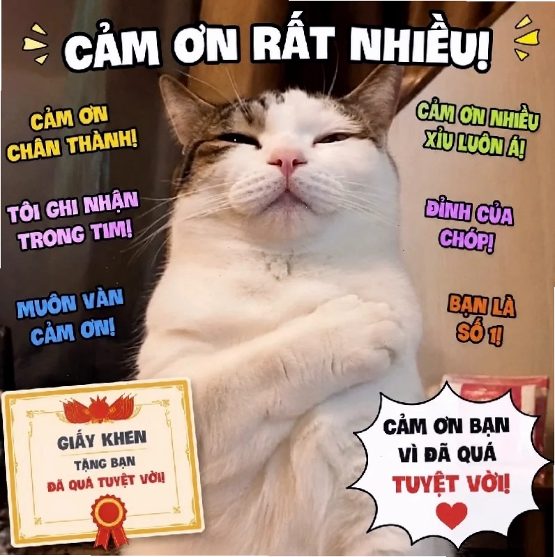meme khen sếp