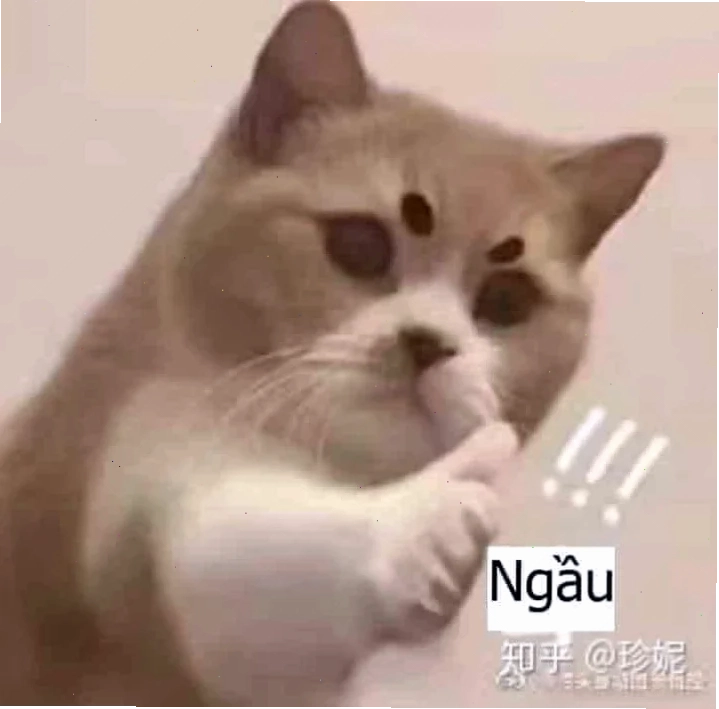 meme khen sếp đỉnh