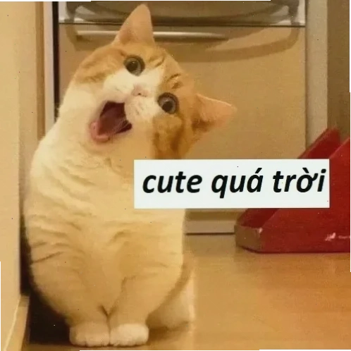 meme khen sếp hài
