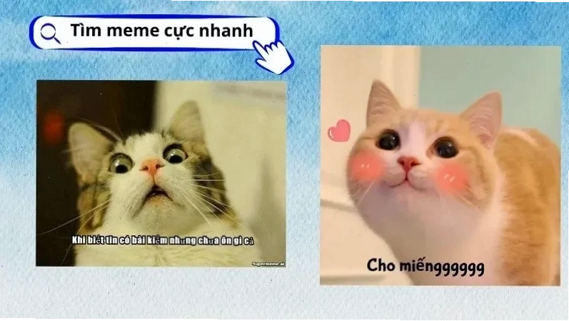 meme khi bắt chấy