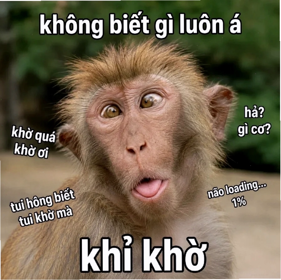 meme khi bất ngờ