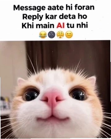 meme khi béo