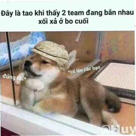 meme khi bóp cổ mèo