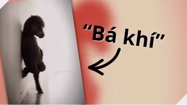meme khi cầm súng