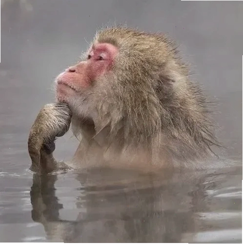 meme khi cắn móng tay