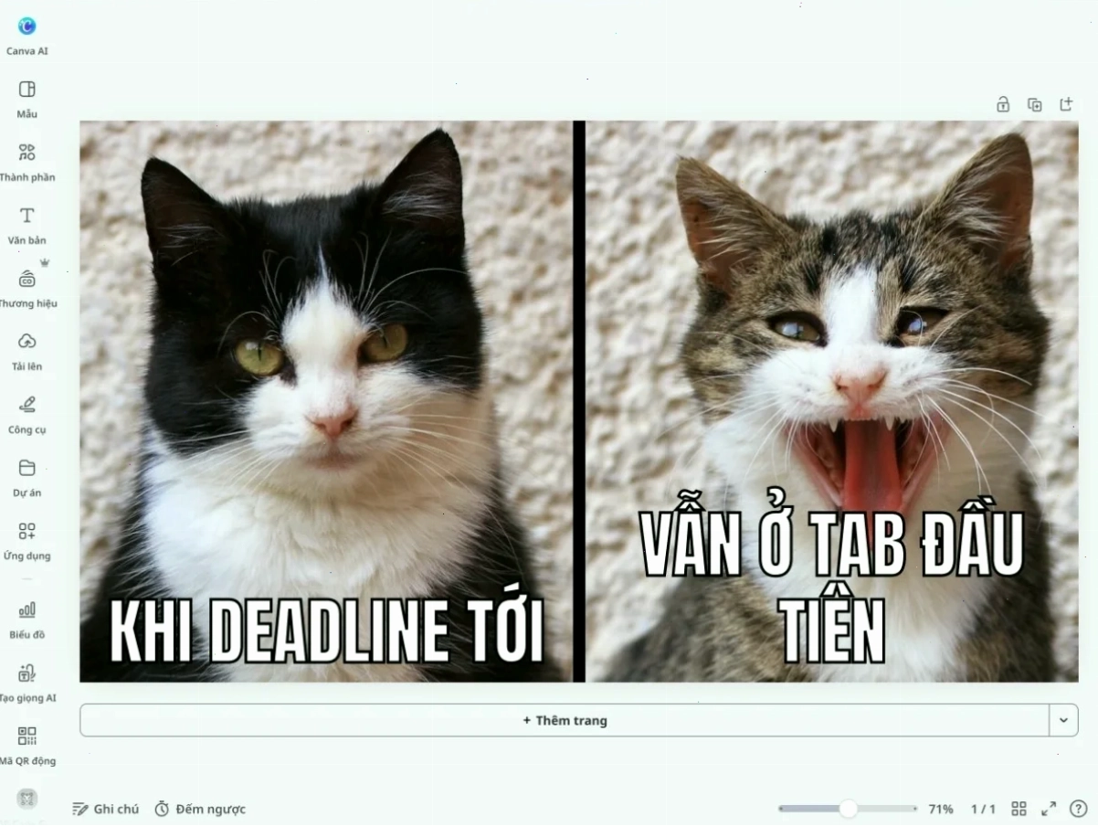 meme khi hỏi