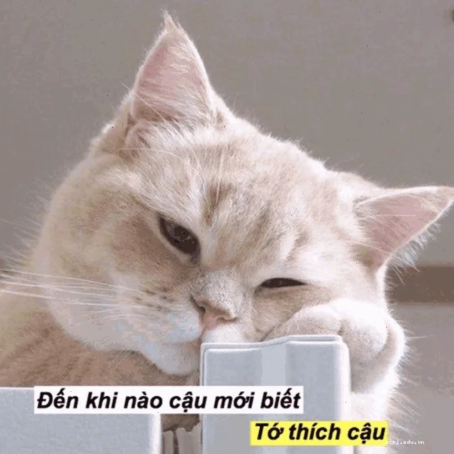 meme khi mút tay