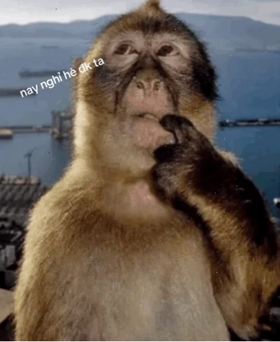 meme khi ngậm ngón tay