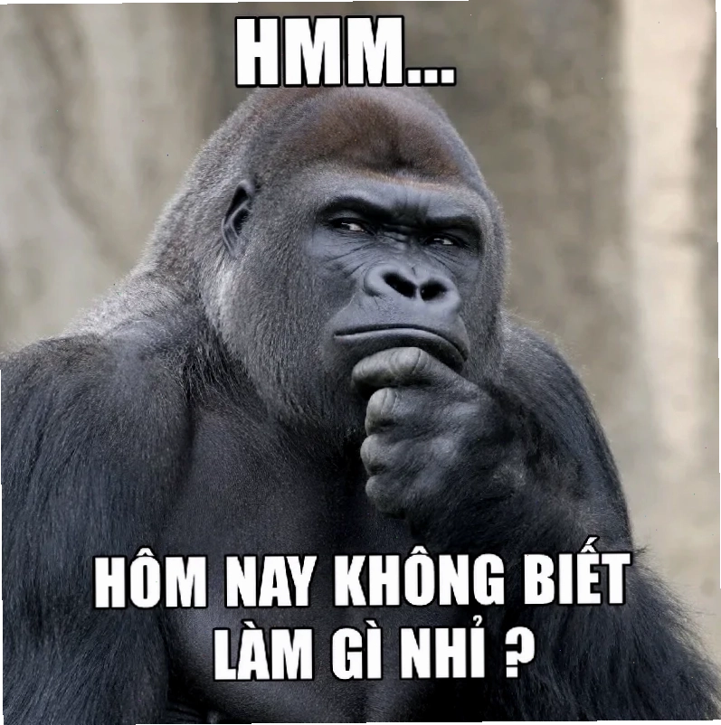 meme khi suy nghĩ tiktok