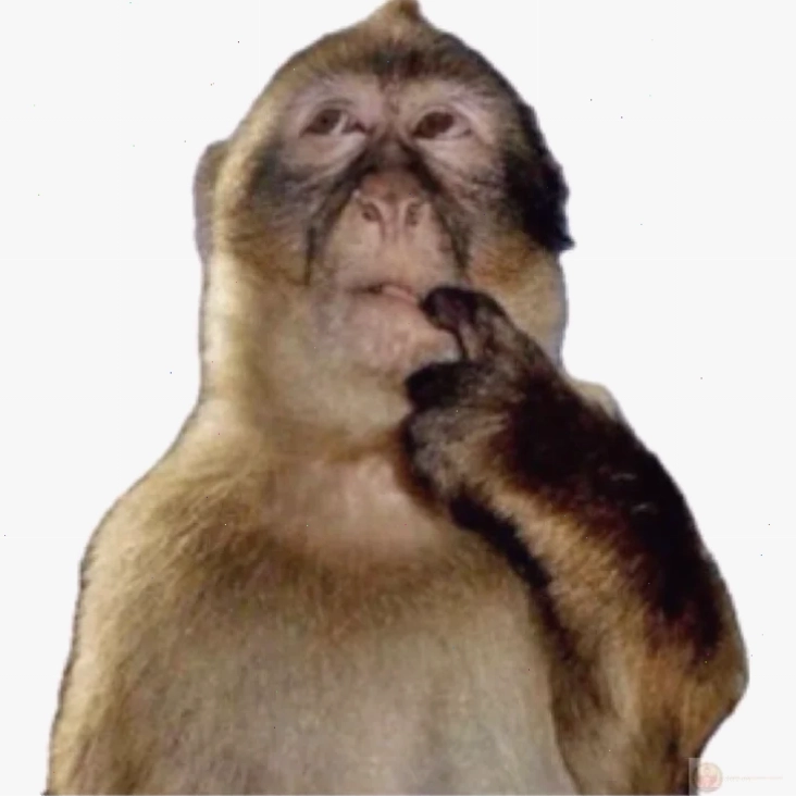 meme khi suy tư
