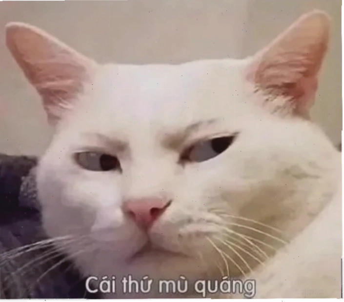 meme khinh bỉ anime với ánh mắt sắc lẹm