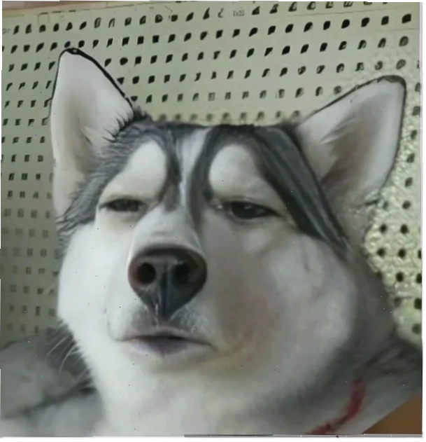 meme khinh bỉ biểu cảm lạ