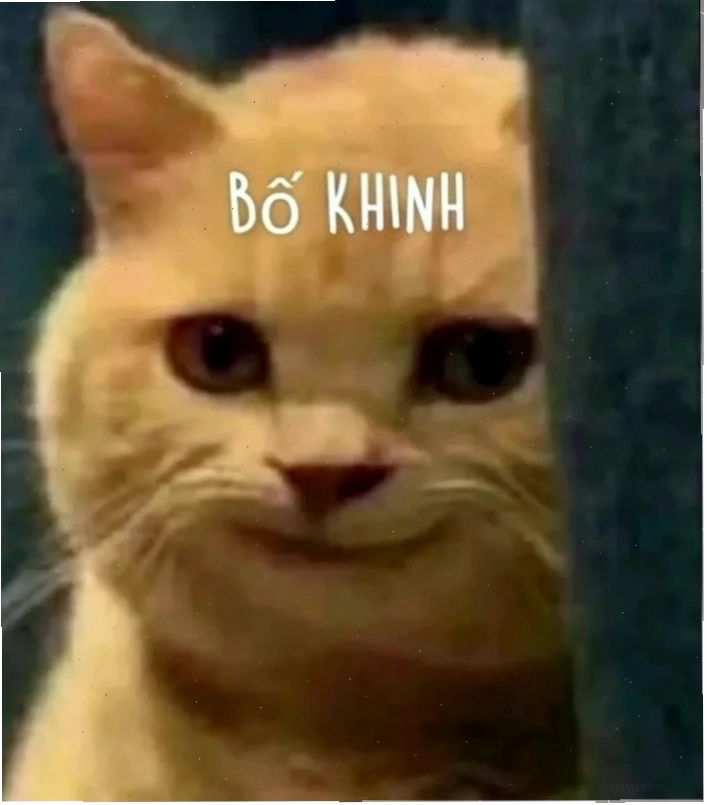 meme khinh bỉ chó cười nhếch mép
