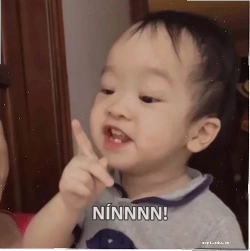 meme khinh bỉ chó cười to
