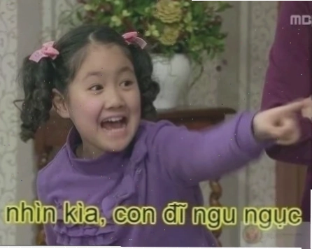 meme khinh bỉ chó nhìn nghiêng