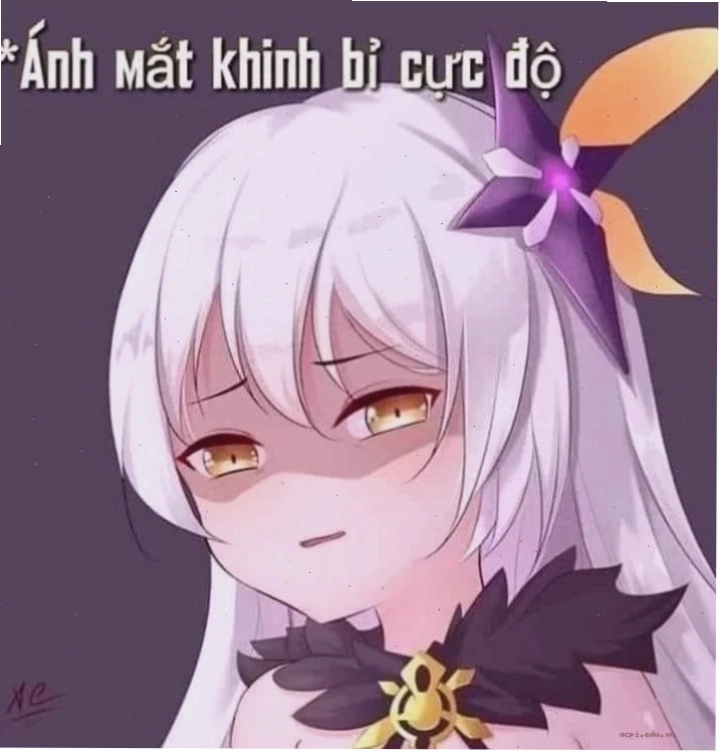 meme khinh bỉ gấu trúc