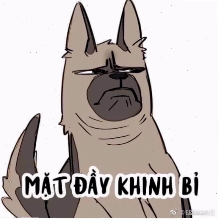 meme khinh bỉ mèo đeo kính