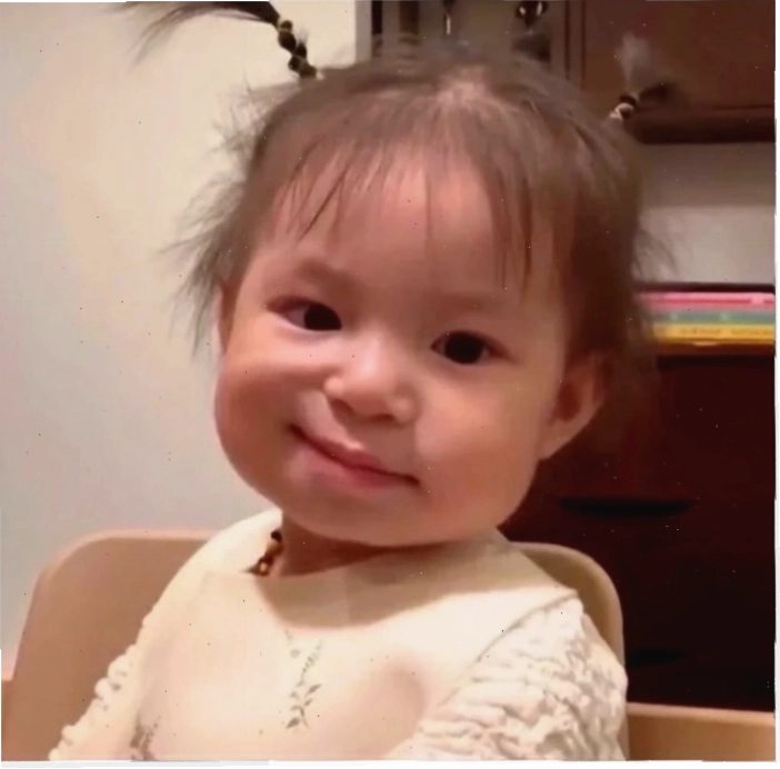 meme khinh bỉ mèo dửng dưng