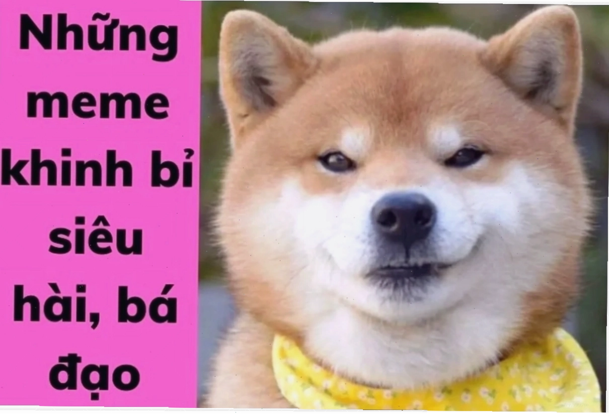 meme khinh bỉ trẻ em hài hước