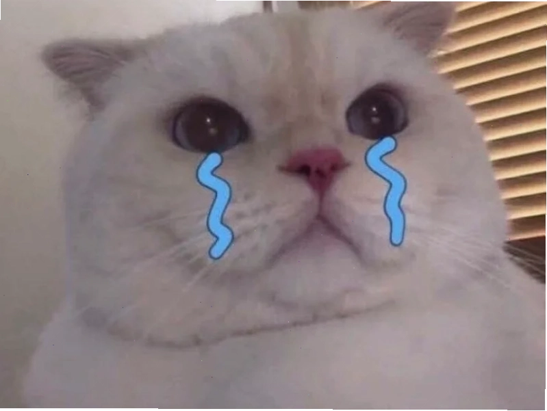 meme khóc cute biểu cảm