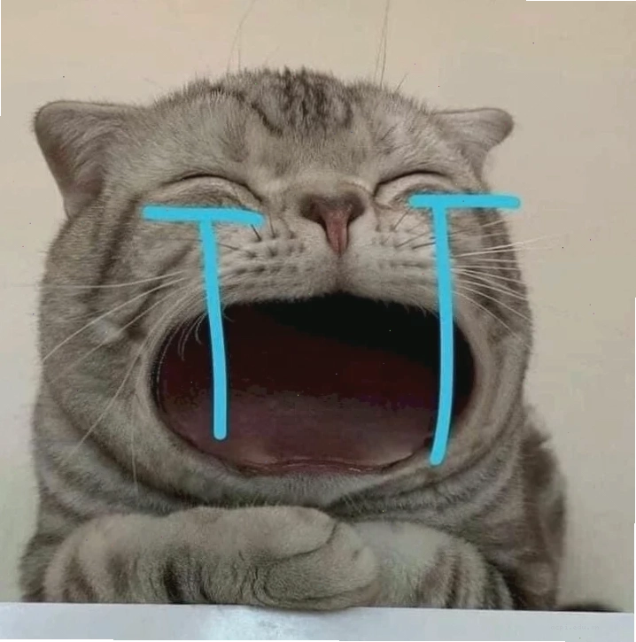 meme khóc cute chó