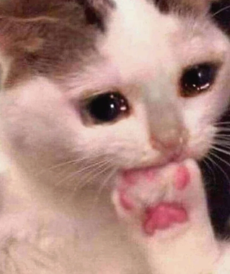 meme khóc cute đau khổ