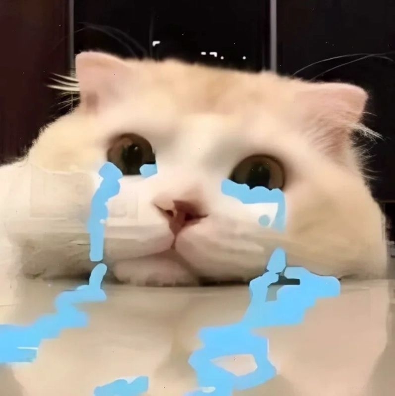 meme khóc cute Doremon