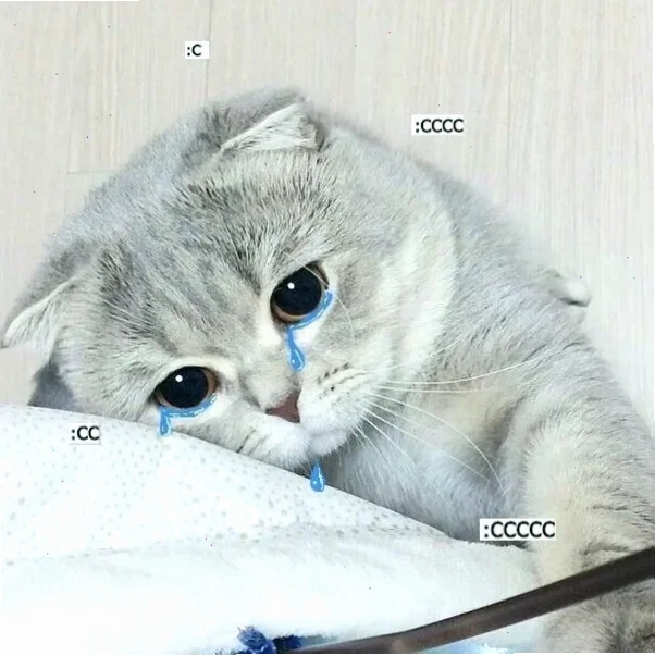 meme khóc cute ếch xanh