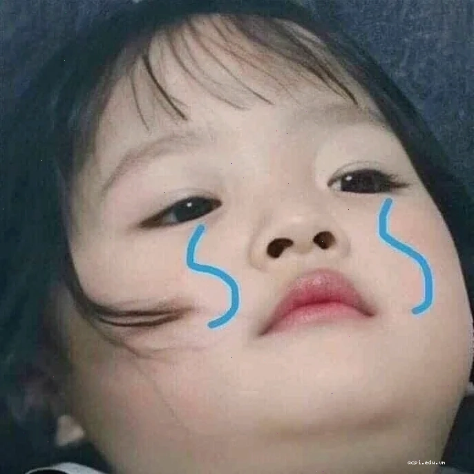 meme khóc cute gấu trúc