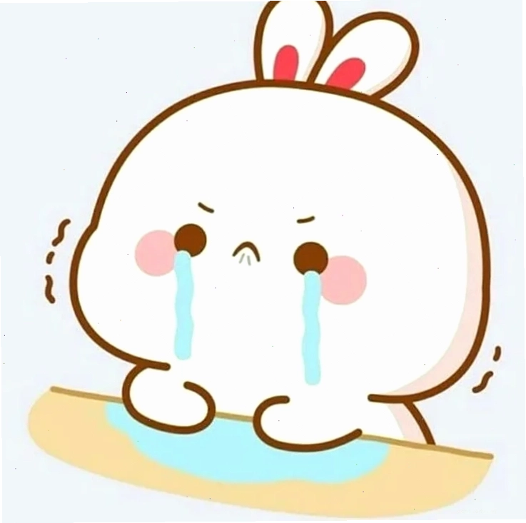 meme khóc cute gấu trúc